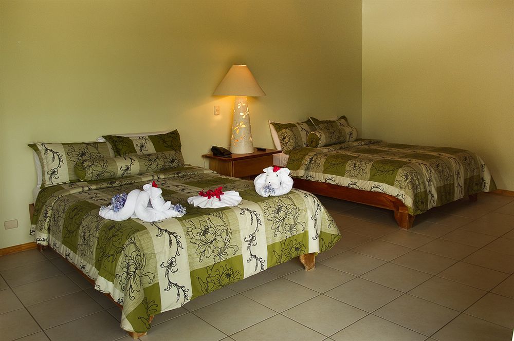 Ficus Lodge Monteverde Exteriör bild